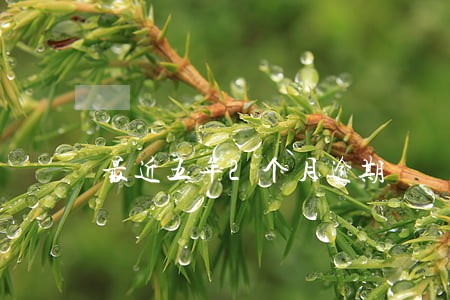 最近五年2个月逾期