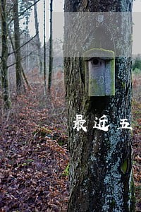 最近五年7次信用卡逾期