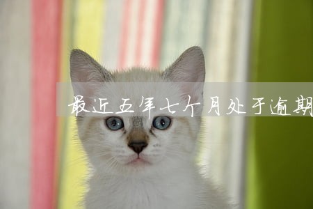 最近五年七个月处于逾期 最近五年七个月处于逾期