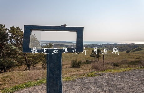 最近五年九个月逾期 最近五年九个月逾期