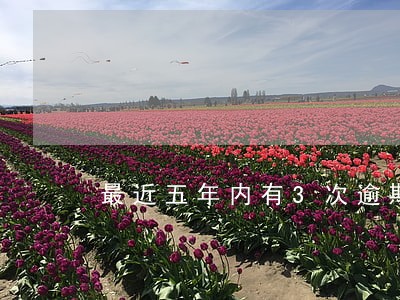 最近五年内有3次逾期 最近五年内有3次逾期