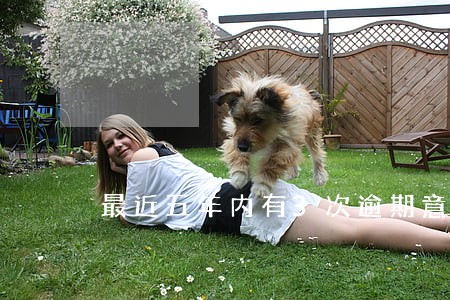 最近五年内有3次逾期意味着什么