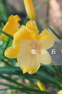 最近五年内有两次逾期可以房贷吗 最近五年内有两次逾期可以房贷吗