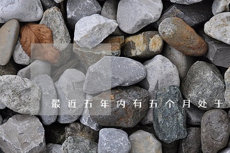 最近五年内有五个月处于逾期状态 最近五年内有五个月处于逾期状态