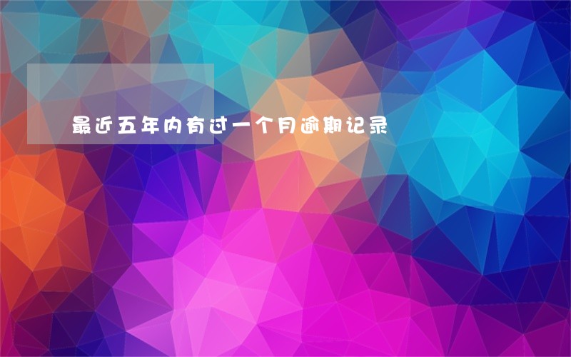 最近五年内有过一个月逾期记录 最近五年内有过一个月逾期记录