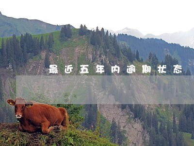 最近五年内逾期状态 最近五年内逾期状态