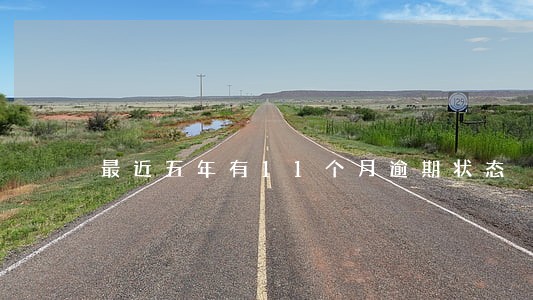 最近五年有11个月逾期状态