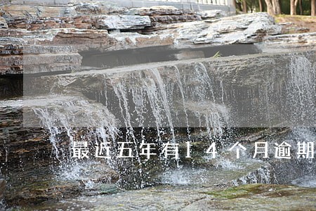 最近五年有14个月逾期 最近五年有14个月逾期