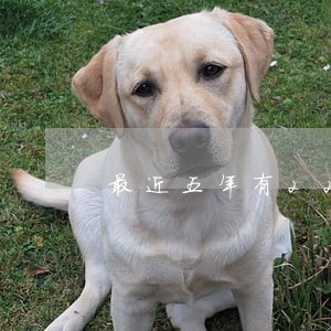 最近五年有22个逾期 最近五年有22个逾期