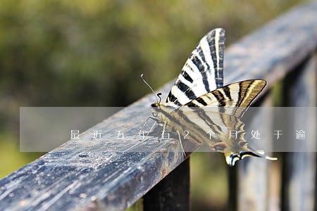 最近五年有2个月处于逾期 最近五年有2个月处于逾期