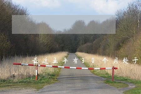 最近五年有30个月处于逾期状态 最近五年有30个月处于逾期状态