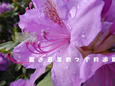 最近五年有7个月逾期