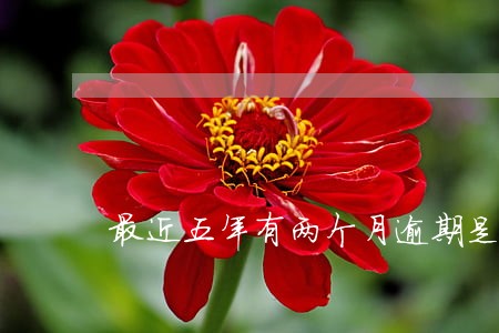 最近五年有两个月逾期是什么意思 最近五年有两个月逾期是什么意思