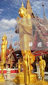 最近五年有个月逾期房贷 最近五年有个月逾期房贷