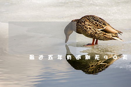 最近五年有逾期无90天 最近五年有逾期无90天