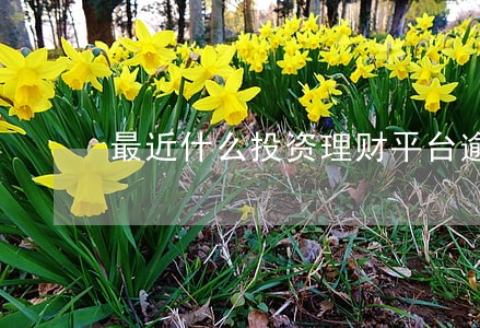 最近什么投资理财平台逾期了 最近什么投资理财平台逾期了