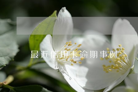 最近信用卡逾期事例 最近信用卡逾期事例