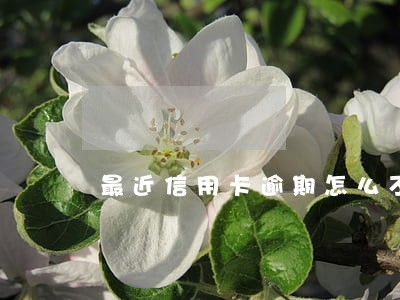最近信用卡逾期怎么不打电话了 最近信用卡逾期怎么不打电话了