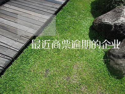 最近商票逾期的企业 最近商票逾期的企业