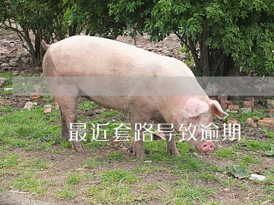 最近套路导致逾期 最近套路导致逾期