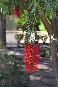 最近很火的公益法律咨询 最近很火的公益法律咨询