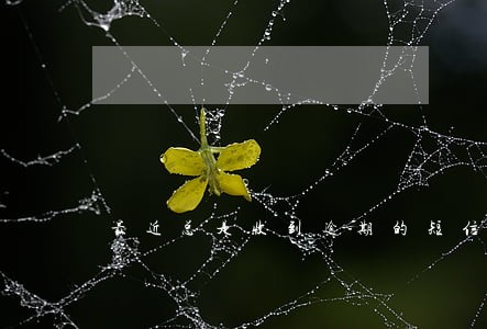 最近总是收到逾期的短信 最近总是收到逾期的短信