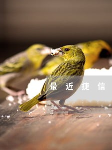 最近捷信逾期还能坐车吗 最近捷信逾期还能坐车吗