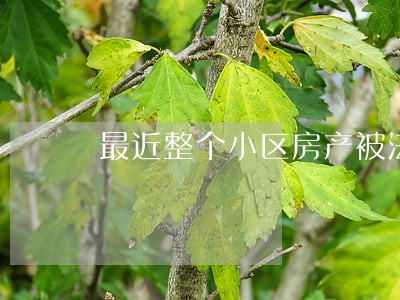 最近整个小区房产被法院冻结新闻