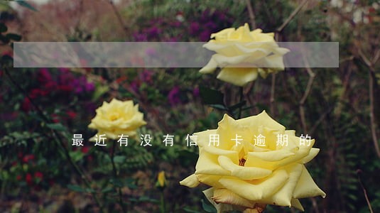 最近有没有信用卡逾期的 最近有没有信用卡逾期的