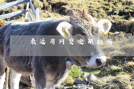 最近有网贷逾期的吗 最近有网贷逾期的吗