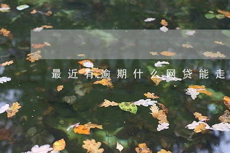 最近有逾期什么网贷能走 最近有逾期什么网贷能走