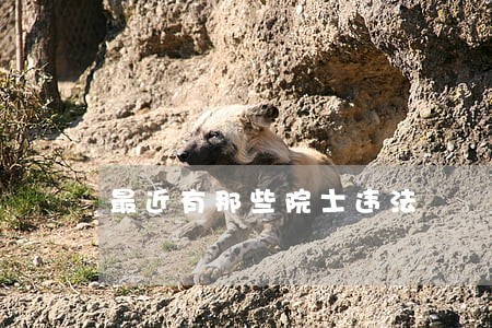 最近有那些院士违法