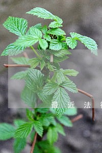 最近法律咨询店 最近法律咨询店