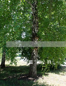 最近的一个月有过五笔逾期 最近的一个月有过五笔逾期