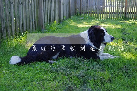 最近经常收到逾期短信 最近经常收到逾期短信