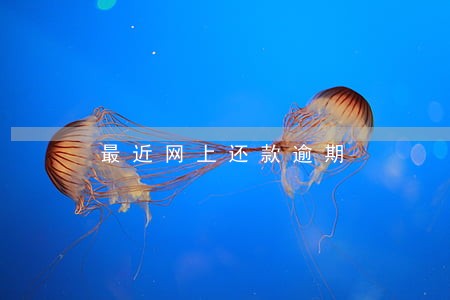 最近网上还款逾期 最近网上还款逾期