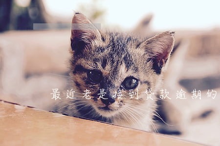 最近老是接到贷款逾期的电话 最近老是接到贷款逾期的电话