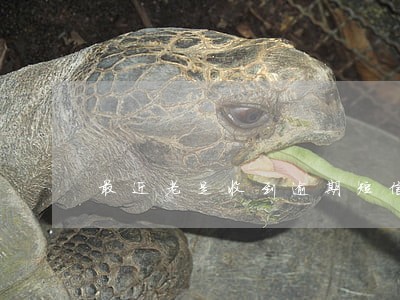 最近老是收到逾期短信 最近老是收到逾期短信