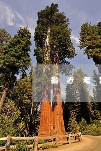 最近老是收到逾期贷款信息
