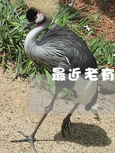 最近老有短信说我借呗逾期 最近老有短信说我借呗逾期