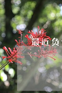 最近负债逾期 最近负债逾期