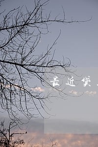 最近贷款逾期怎么办 最近贷款逾期怎么办