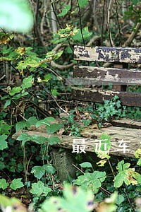 最近车贷逾期多吗 最近车贷逾期多吗