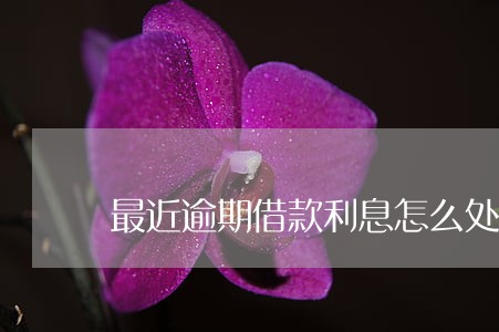 最近逾期借款利息怎么处理 最近逾期借款利息怎么处理