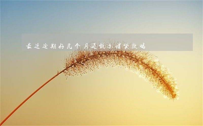 最近逾期好几个月还能办理贷款吗 最近逾期好几个月还能办理贷款吗