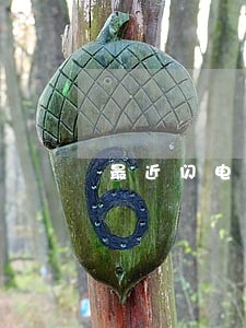 最近闪电借款逾期一天 最近闪电借款逾期一天
