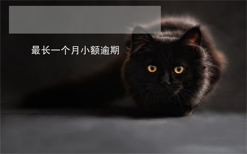 最长一个月小额逾期 最长一个月小额逾期