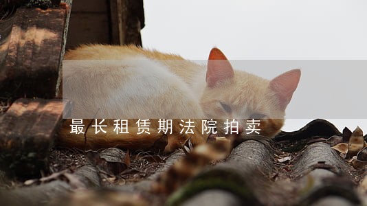 最长租赁期法院拍卖 最长租赁期法院拍卖