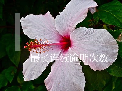 最长连续逾期次数 最长连续逾期次数