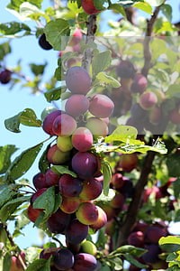最长逾期10个月影响房贷 最长逾期10个月影响房贷